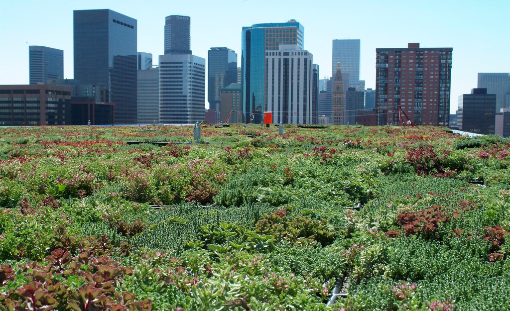 MOOC Ciudades Verdes: Naturación y Agricultura Urbana
